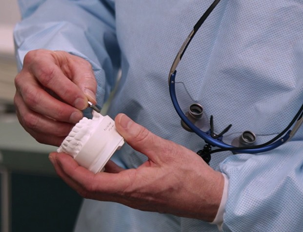 Dentist holding model of mouth with dental implant in Upper Arlington